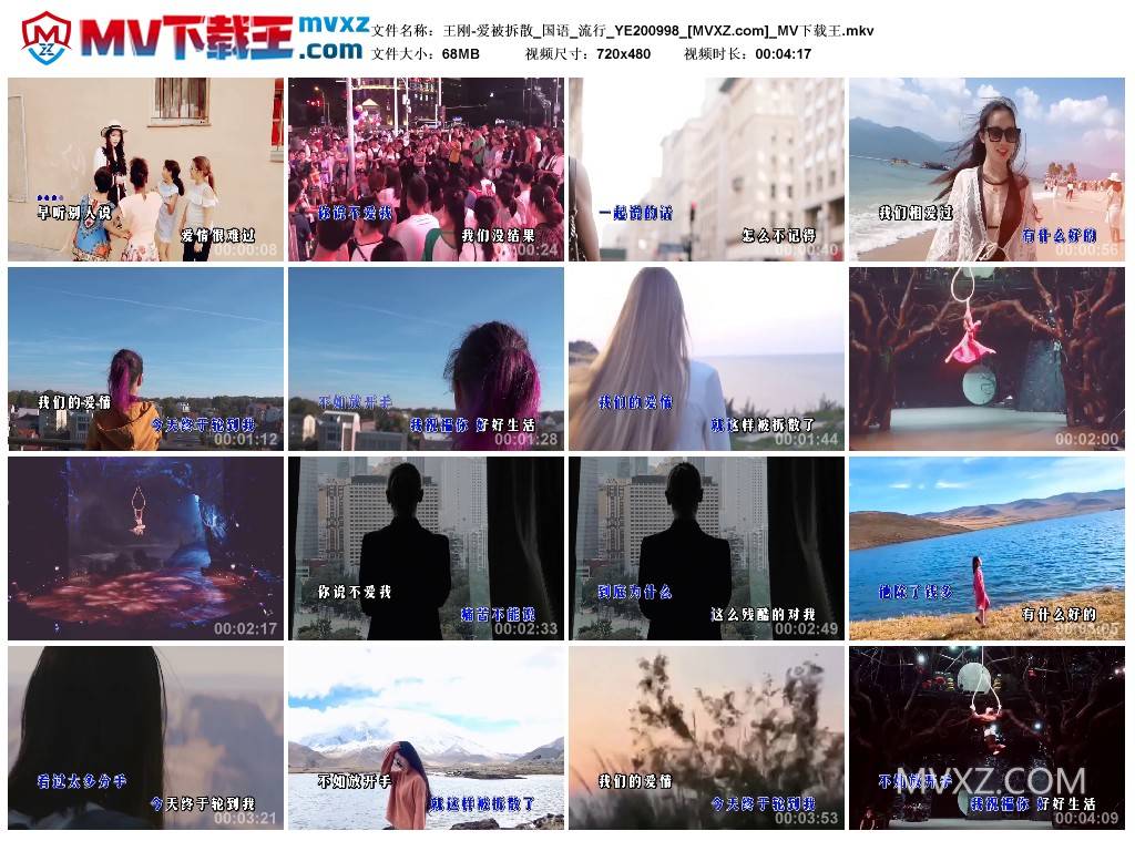 王刚-爱被拆散_国语_流行_YE200998